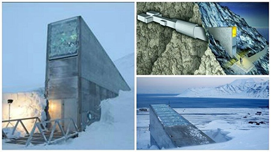 Norveç’deki Svalbard Küresel Tohum Deposu (Kıyamet Ambarı)
Norveç'in kuzeyindeki Spitsbergen Adası'nda, buzullar arasında dev gibi bir dağın 130 metre altında inşa edilen ve 9 milyon dolara mal olan “Svalbard Küresel Tohum Deposu” , Mart 2008'den beri faaliyet göstermektedir. Doğal felaketler veya nükleer savaşlar gibi nedenlerle Dünya'daki yaşamın sonunun gelmesi ihtimaline karşın içinde erzaklarla beraber Dünya'daki bilinen bütün bitkilere ait milyonlarca tohumun saklandığı bir yeraltı deposudur.