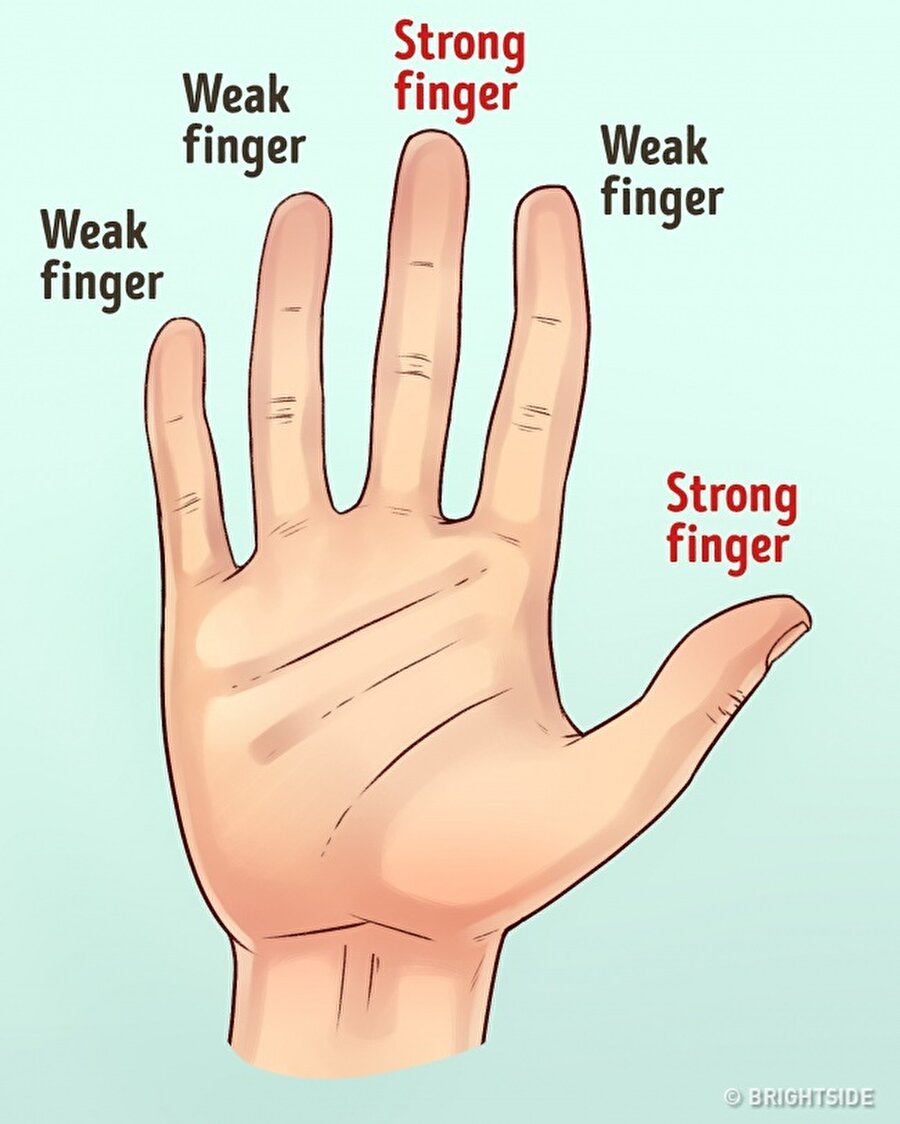 Güçlü parmaklarınızı bulun
Söz konusu analizleri. güçlü yani çoğunlukla kullandığınız eliniz üzerinde değerlendirin. Ardından parmak yapınıza bakın. Eğik olmayan, sağlıklı duran parmaklar sizin güçlü parmaklarınız oluyor.

Başparmağınızın şekli düzgünse; mesleğinde çok başarılı bir insansınız demektir.
İşaret parmağınızın şekli düzgünse; kurnaz bir kişi olduğunuzun sinyalleri verilir.
Orta parmağınız sizin güçlü parmağınız ise bilge bir insansınız demektir. 
Yüzük parmağınız sağlıklı görünüyorsa o zaman siz bir sanatçısınız.
Serçe parmağınız düzgün duruyorsa o zaman iletişim yönü güçlü bir kişisinizdir.
