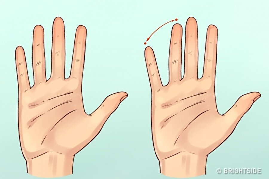 Yüzük parmağınız ve serçe parmağınız arasındaki mesafe fazlaysa; ciddi işlerden kaçınmayı seven bir yapıya sahipsinizdir.

 Şayet bu iki parmak birbirine yakınsa; bağımsızlığınıza düşkünsünüzdür.
