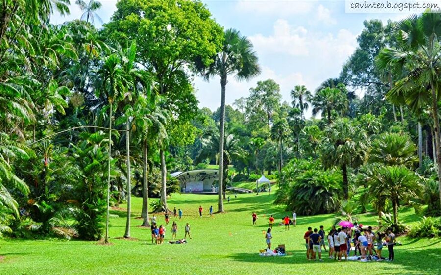 Singapore Botanic Gardens / Singapur

