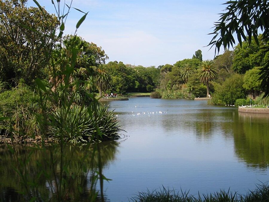 Royal Botanic Garden / Avustralya
