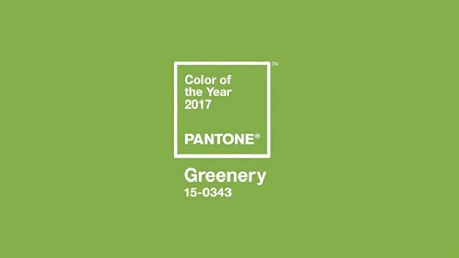 Yeşil, "Umutlu olma" rengidir
Pantone Renk Enstitüsü'nün direktörü Leatrice Eiseman, "Pantone nasıl bir dünyada yaşadığımızı biliyor: çok stresli ve çok gergin. Bu, umutlu olma rengidir” şeklinde konuştu.