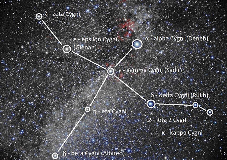 Cygnus takımyıldızı (Kuğu)
İçerisinde birçok parlak yıldız bulunmaktadır. Ve en parlak olan yıldız ise Deneb'dir. Ve bu yıldız yaz üçgeninin yıldızlarından birisidir. Görünüş olarak Samanyolu üzerinden uçan bir kuşu andırmaktadır.