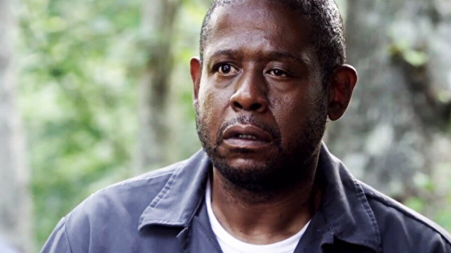 Forest Whitaker
Oscar Ödüllü oyuncu Forest Whitaker'ın ptozis hastası. Whitaker'in sol göz kapağı sarkık durumdadır.