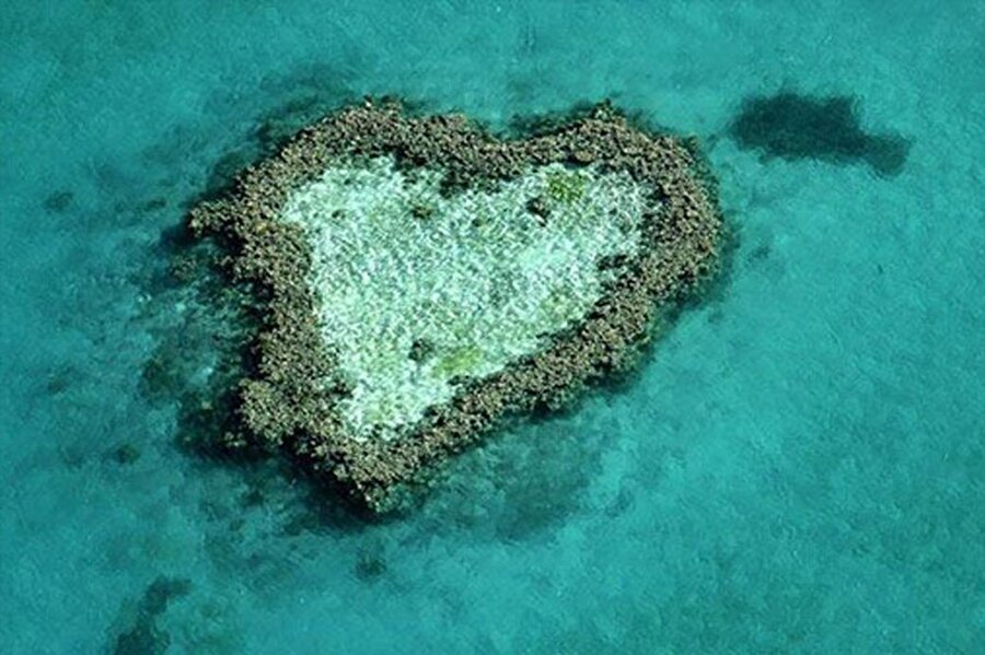 Avustralya'dan bir ada

                                    
                                    Birçok mercanın bir araya getirerek oluşturduğu bu kalp şekli ise Avustralya'nın Büyük Set Resifi'ndeyer alıyor.
                                
                                