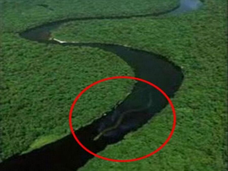 Borneoda'ki dev yılan

                                    
                                    Havadan çekilen bu fotoğrafı gören Borneo'lular efsanevi dev yılanın geri döndüğüne inanıyor.
                                
                                