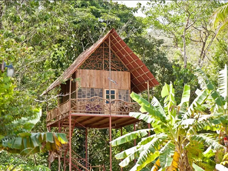 
                                    
	Bu ev de Costa Rica da bulunuyor ve gelen misafirlere geceliği 500$ karşılığı sunuluyor. Ancak eğer doğalı tercih edip lüks oteller yerine bu küçük evleri seçerseniz size bir mutfak verilirken bir telefon ya da televizyon gibi teknolojik aletleri özellikle vermezler. Amaç doğayla baş başa kalmak değil mi yahu?

                                