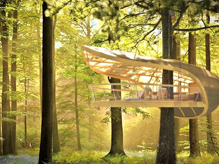 
                                    
	Anlaşılan bu ağaç ev sever biraz minimalist çalışmış.

                                