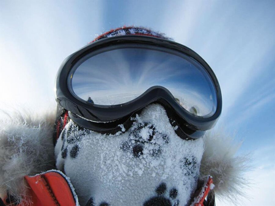 Karlı ve buzlu zeminlerden yansıyan ışınlara dikkat!
Güneşten gelen ultraviyole ışınları karlı ve buzlu zeminlerden yansıdığında direkt olarak göze ulaşıyor. Ultraviyole ışınlara karşı koruyucu özellik taşıyan gözlük kullanmamak ve gözlüksüz uzun süre boyunca karlı zemine bakmak ise korneada güneş yanığı oluşmasına yol açabiliyor.

 Bu durum da kar körlüğüyle sonuçlanabiliyor. Kar körlüğünden korunabilmek için bazı hususlara dikkat etmek gerekiyor. Yaz aylarında olduğu gibi kış mevsiminde de mutlaka güneş gözlüğü kullanmak bunların başında geliyor.