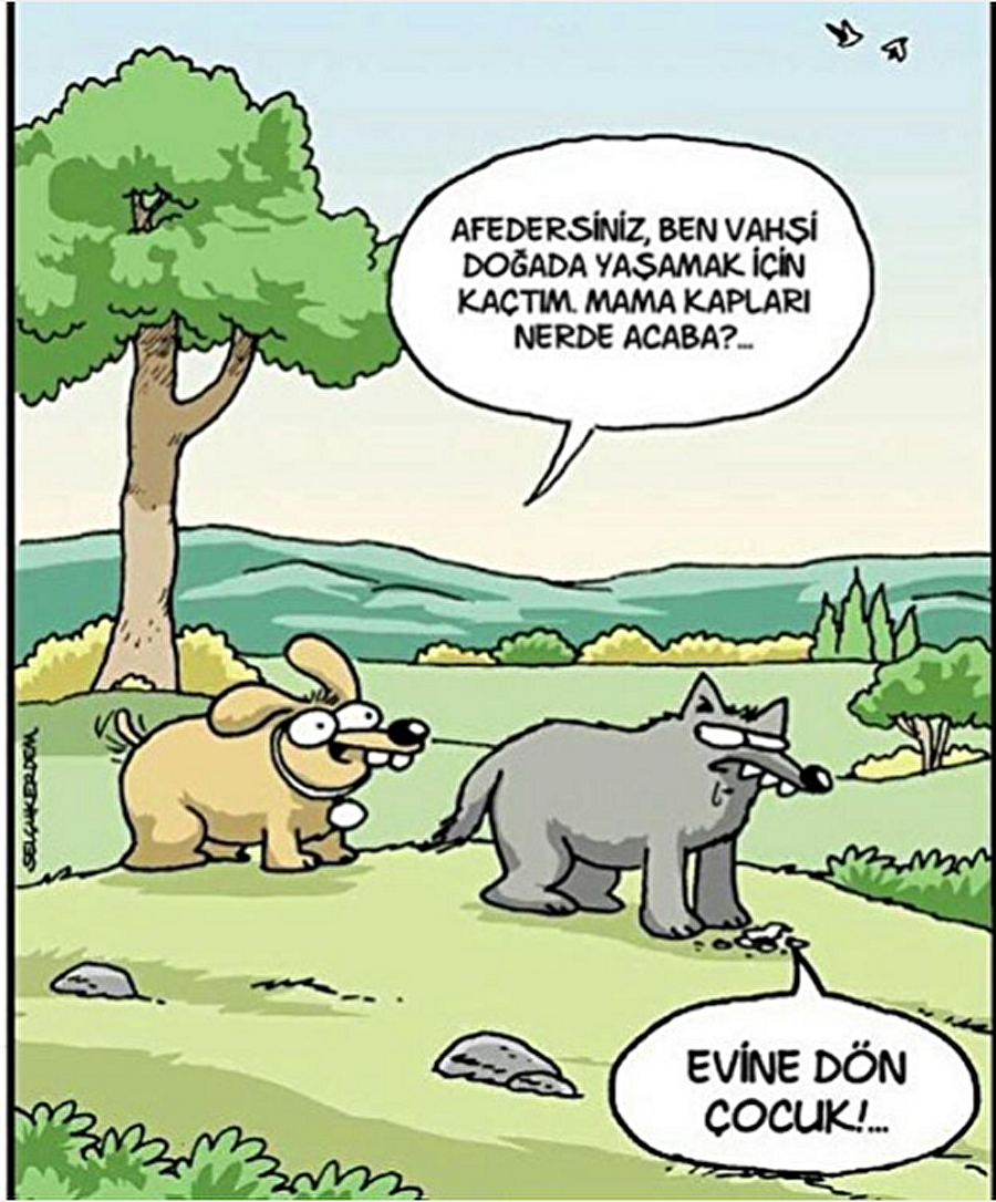 Buna ne denir ki doğru demiş