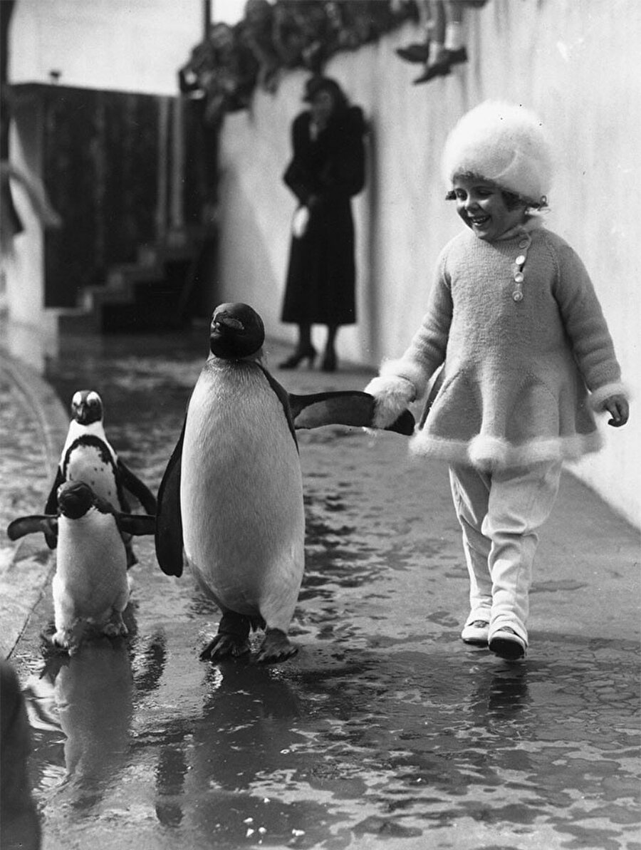 Londra Hayvanat Bahçesi'nde penguenlerle el ele yürüyen bir çocuk (1937)

                                    
                                    
                                
                                