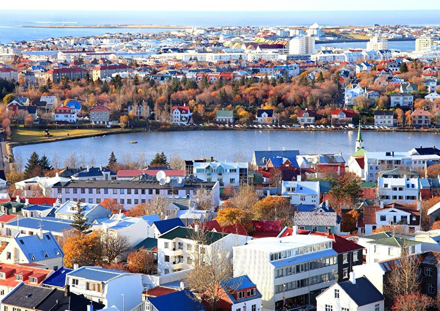 İzlanda'nın iş kurumu olarak bilinen Samtök Atvinnulífsins'ın eski CEO'su, Sosyal Çalışmalar Bakanı Þorsteinn Víglundsson, ekonominin sağlıklı ilerlemesi için İzlanda'nın Kanada, Avusturalya gibi göçmen politikaları üzerine ağırlık vermesi gerektiğini de belirtti.