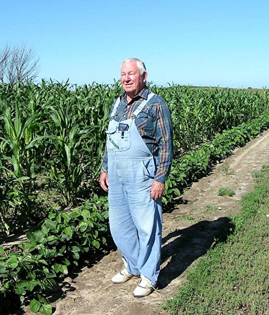 Renkli cam mısırının hikayesi Oklahoma'da yaşayan Carl Barnes isimli bir çiftçi ile başlıyor. Şimdi 80 yaşlarında olan Carl yarı kızılderili. Barnes, mısır yetiştiriciliği konusunda esrarengiz bir beceriye sahipti. Daha spesifik olarak, canlı, yarı saydam renkler gösteren tohumları seçme ve kurtarma konusunda mükemmeldi. Barnes bu özel tohumları özenle seçti, kurtardı ve yeniden dikti. Hangi mevsimde dikmeliydi bilmiyordu, denedi. Ancak uzun yıllar sonra, özenle hazırladığı çabalar, dünya çapında binlerce kişiyi büyüleyen harikulade bir mısır çeşidi yarattı.