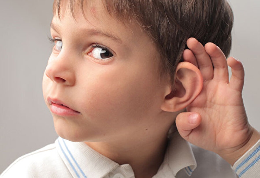 Kulaklarımız hayatımız boyunca yılda milimetrenin dörtte biri kadar büyür.
