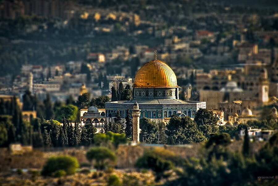 Kudüs sendromu

                                    
                                    
                                    
                                    
                                    Kudüs sendromu da yine literatüre geçen bir başka ilginç rahatsızlık. Kudüs'ü ziyaret eden hacı ve turistlerden bazıları, buradaki kutsal atmosfere kendilerini kaptırıp büyük bir dini lider olduklarına inanmaya başlıyor. 
                                
                                
                                
                                
                                