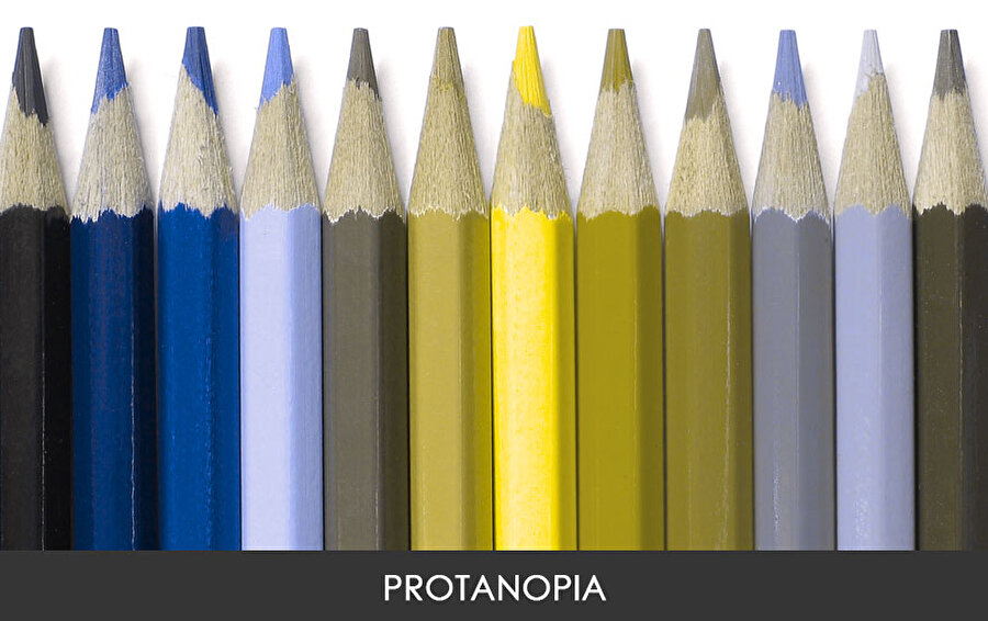 Protanopia

                                    
                                    
                                    Birisi Protanopia'ya sahip olduğunda, yeşil ve kırmızı tonların tümü soluk görünür. Erkeklerin yaklaşık % 1'i bu tür KVH'u yaşamakta.
                                
                                
                                