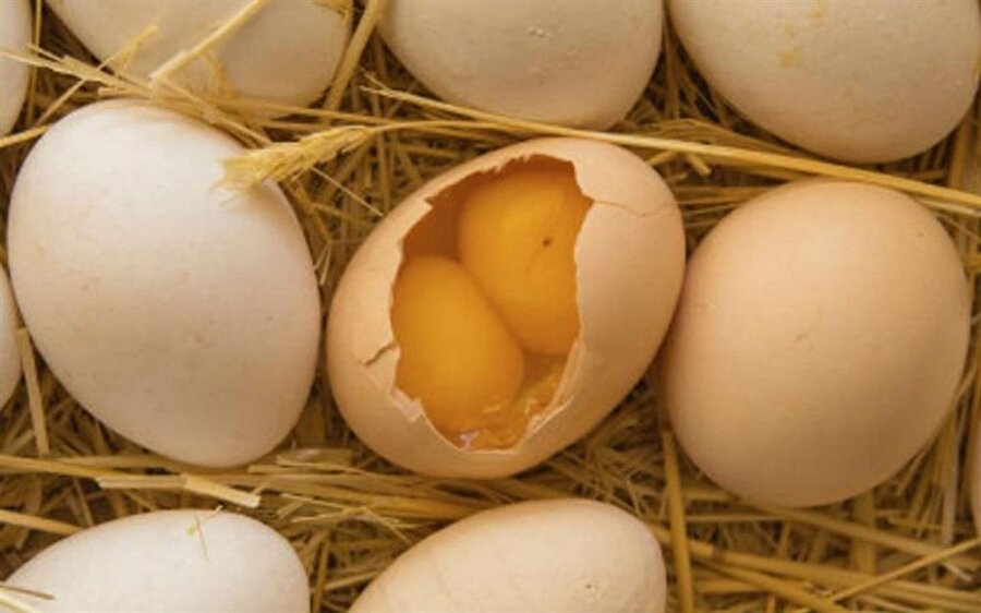 Çift sarılı yumurtaya denk gelmek
Bu sefer Rusya'dan bir inanış geliyor. Eğer ki çift sarılı yumurtaya denk gelirseniz yakınınızdan birinin evlilik haberi geleceğine veya ikiz çocuk sahibi olacağına inanılıyor. Ülkemizde de direkt olarak böyle bir inanış olmasa da çift sarılı yumurtaya denk gelmek iyi şansa delalet diyebiliriz.