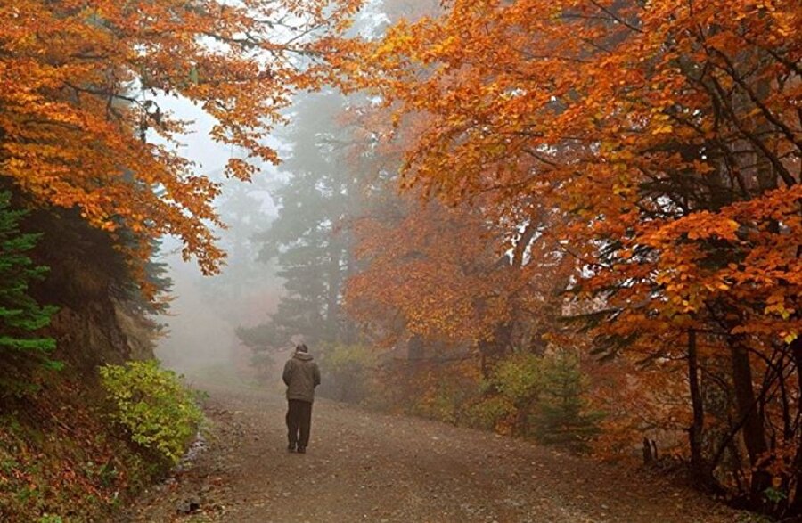 Başarılı sanatçı Mehmed Özçay.