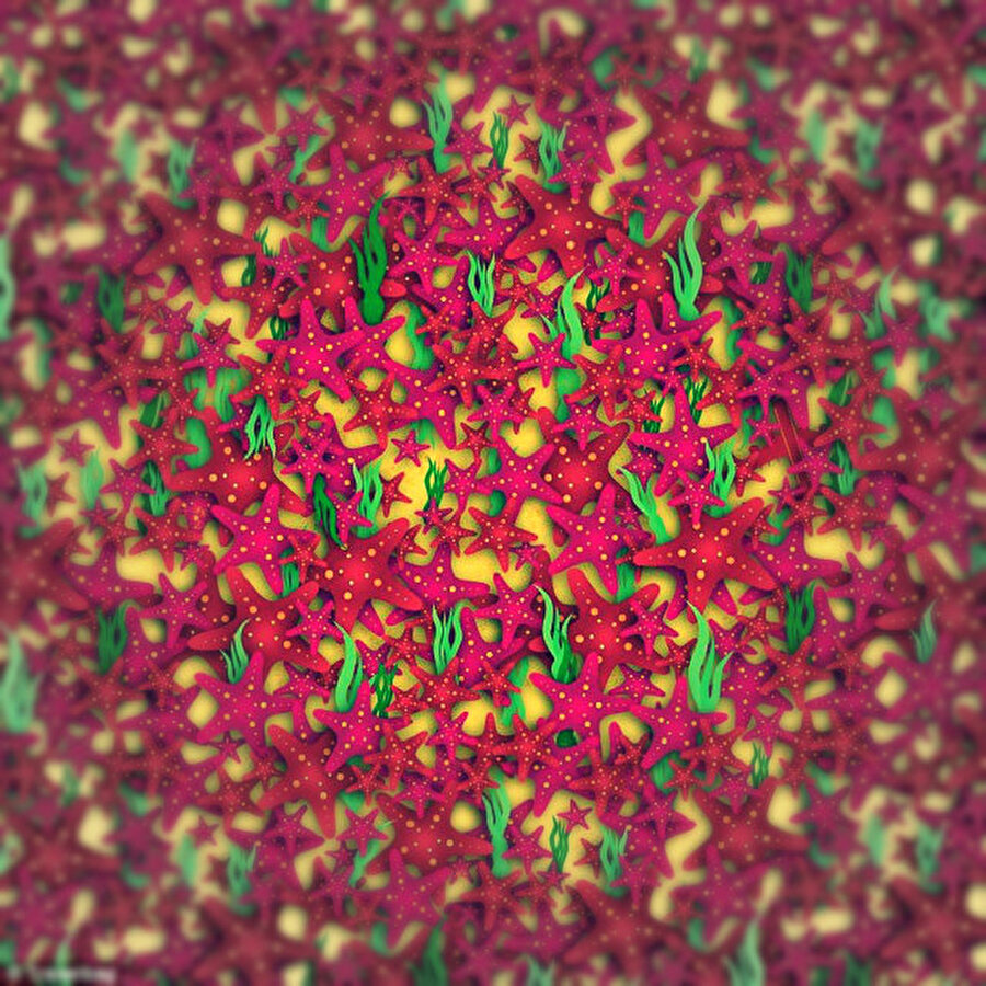 Saç baş yolduran soru