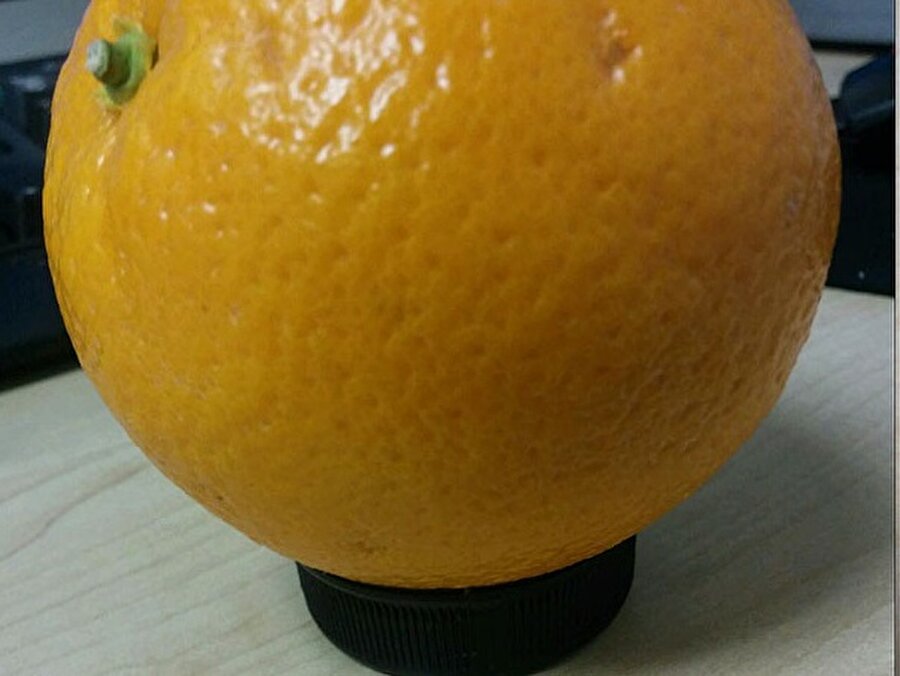 Portakal tutucusu

                                    Portakallarınızı bir süs gibi sergilemek isterseniz, plastik bir kabın kapağını kullanabilirsiniz.

                                