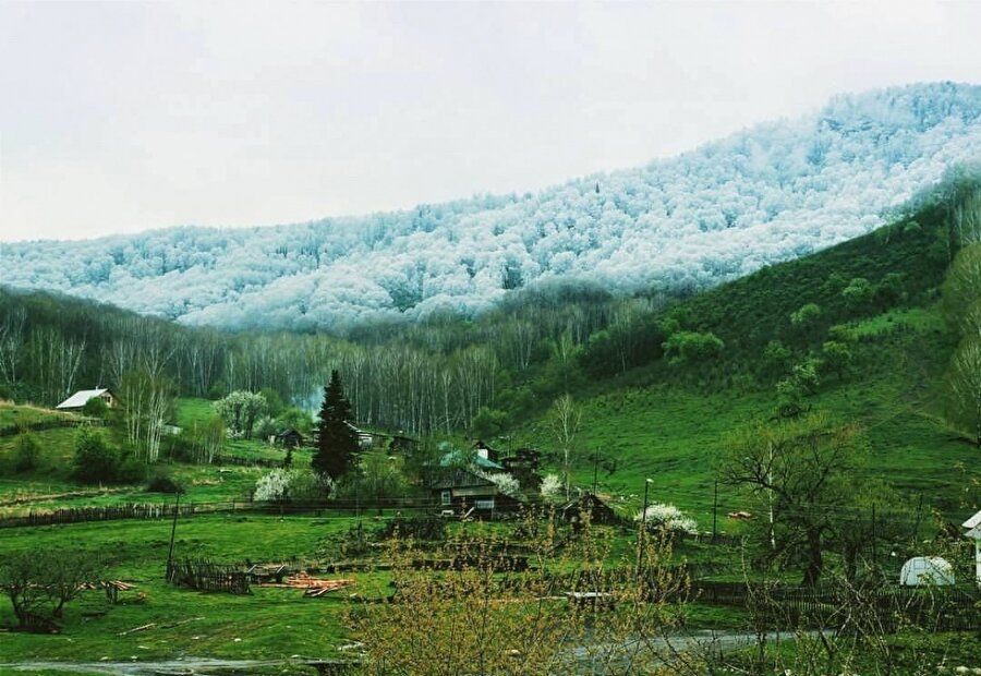 Altay Dağları'nda kar
