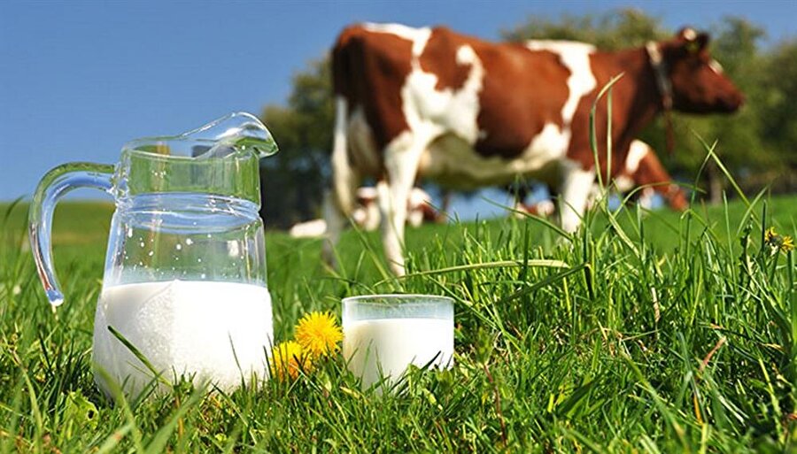İnek sütü
İnek sütünün taşıdığı alerji riskinden dolayı, 1 yaşına kadar dikkatli olunmalı. 1 yaşından sonrasında ise, demir eksikliği yaratabileceği için günde en fazla 1 bardak içirilmeli. 