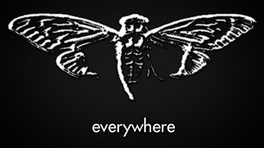 Dünyanın en gizemli internet örgütü.