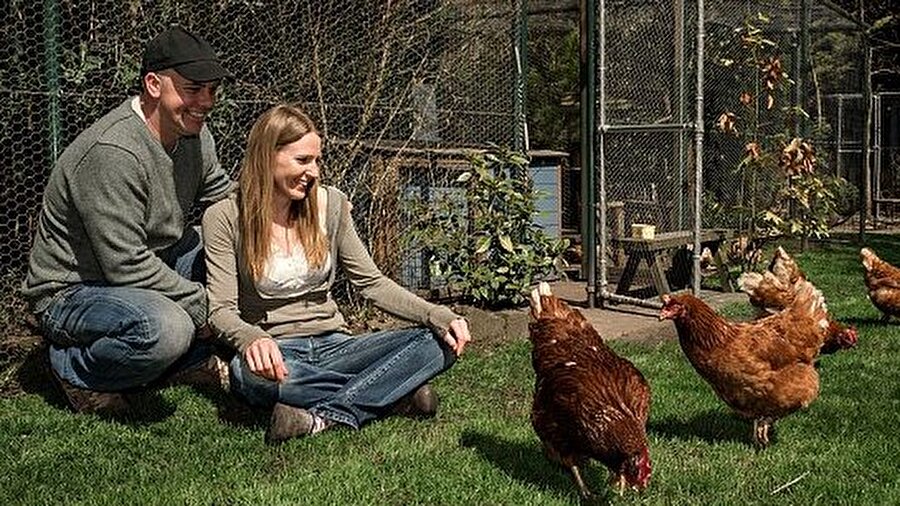 "Misafirler de eğlendi"
Çiftin tavuk sevgisi, 4 yıl önce kurtardıkları bir tavuktan geliyor. Gelin Lizzie, bütün düğünün tavuk temasıyla geçtiğini ve grup fotoğraflarından, tavuk gibi gözükmek için üretilen kırmızı lateks eldivenlere kadar birçok detayın misafirleri çok eğlendirdiğini söylüyor.

Ky ve Lizzie ise aynı evin görevlileri olarak çalışırken 12 sene önce tanıştıklarını belirtti.

