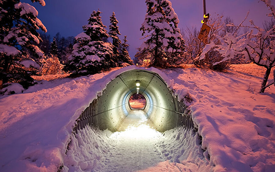 Finlandiya, Hayvan Tüneli 
