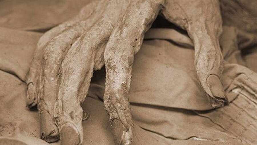 Öldükten sonra bedenimize neler oluyor?