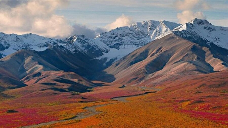 Denali Ulusal Parkı ve Koruma Bölgesi – ABD
Alaska'ya kadar uzanan bu milli park aynı zamanda bölgenin en yüksek zirvesi olan Denali Dağı'na da ev sahipliği yapmaktadır. Ayrıca milli park sınırları içerisinde buzul nehirler, tayga ormanları ve alpin tundrası gibi çeşitli doğa oluşumları da gözükmektedir. 6 milyon dönümlük milli parkın içerisinde sadece bir yol olması nedeni ile birçok turist hava yolunu tercih etmektedir. 