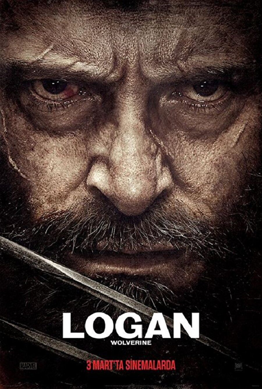 Logan: Wolverine
Konusu: Senaryosunu Michael Green ve David James Kelly'in birlikte kaleme aldığı film, Hugh Jackman'ın son kez hayat verdiği Wolverine/Logan'ın genç bir mutantı ne pahasına olursa olsun korumaya çalışmasını anlatıyor.