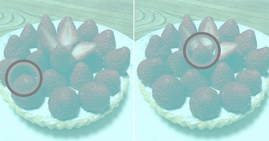 
Japonya'da bulunan bir profesör Akisyoshi Kitaoka​ tarafından hazırlanan fotoğrafı Matt Lieberman kendi Twitter hesabı üzerinden paylaştı.