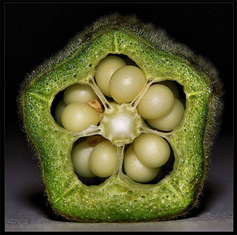 Bu nesnenin ne olduğunu anlayabildiniz mi? 