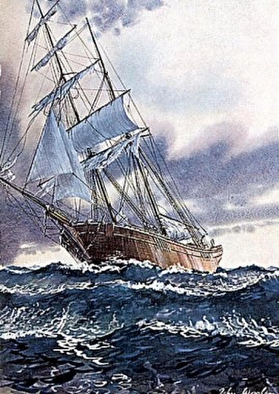 Ortalıkta hiç kimse yoktu

                                    
                                    
                                    Gemiye çıkan Dei Gratia mürettebatı güvertede kimsenin olmadığını fark ettiler. Bunun üzerine geminin her yerine baktılar ama geminin mürettebatını ve kaptanını bulamadılar. Gemi iyi durumdaydı, üç su tahliye pompasından ikisi durmuş vaziyette olsa da içerisindeki suyun gemiyi batırma tehlikesi yoktu. Bunun yanında gemide tam 6 ay yetecek kadar erzak vardı. Aynı zamanda gemide bulunan yüzlerce varil alkole ve diğer değerli eşyalara da dokunulmamıştı. Ama gemide kilit öneme sahip eşyalar yerlerinde yoktu.

                                
                                
                                