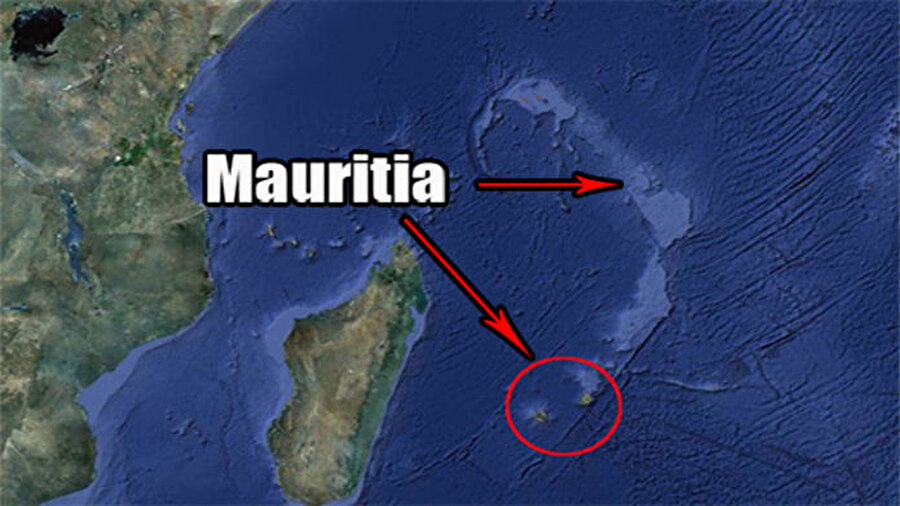 
	Gazetenin başyazarı 
	Profesör Lewis Ashwal, “Mauritius bir adadır ve adada 9 milyon yaşın üzerinde hiçbir kaya yoktur.” diyor. Fakat adadaki kayalar incelendiğindeyse 3 milyar yıllık zirkonlar buluyorlar. 

