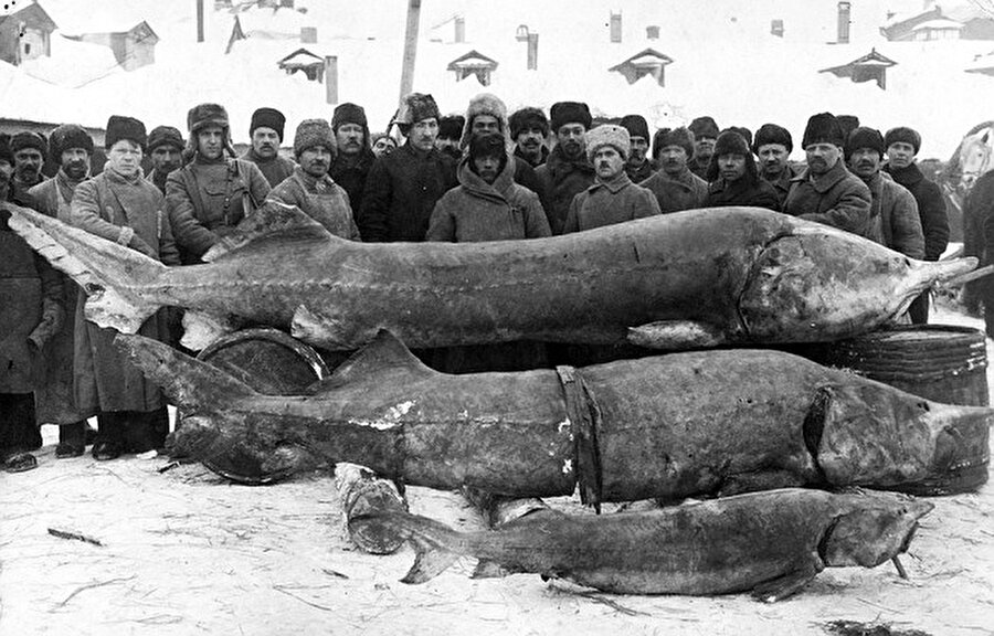 1924 / Rus balıkçılar
