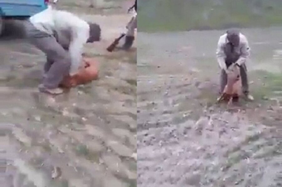 Köpeğe şiddet