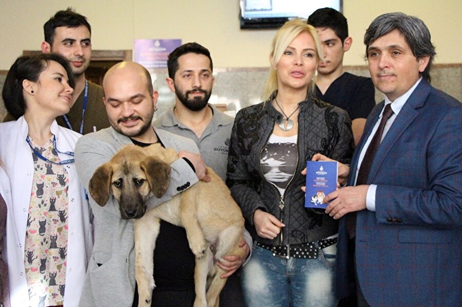 Kuyu ölümü bir kez daha yendi
8 Mart akşamı geldiği Hayvan Hastanesinde apar topar tedavi altına alınan Kuyu köpek, hastanede titizlikle yürütülen 14 günlük ilk tedavi sürecinin ardından ölüm riskini büyük ölçüde atlattı. Bir yandan Kuyu'nun tedavisi devam ederken, bir yandan da ona yeni bir yuva ve güvenli bir sahip arayan İstanbul Büyükşehir Belediyesi Veteriner Hizmetleri Müdürlüğü yetkilileri yavru köpeği yaşadığı talihsiz süreçte yakından takip eden ünlü bir isme teklifte bulundu. Aynı zamanda Hayvanları Çaresizlikten ve İlgisizlikten Koruma (HAÇİKO) Derneği Kurucusu ve Başkanı olan sanatçı ve köşe yazarı Ömür Gedik'e yapılan Kuyu'yu sahiplendirme teklifi, sürecin takipçisi olan Gedik tarafından olumlu karşılandı. Tedavinin ilk ve en önemli kısmını tamamlayan veteriner hekimlerin de Kuyu'nun yeni yuvasında birkaç ay daha başka hayvanlarla temas etmeden yaşaması koşuluyla taburcu edilmesine onay verdiği öğrenildi. Gelişmeler üzerine dün öğle saatlerinde asistanı ve menajeriyle birlikte Hayvan Hastanesine gelen Gedik, Kuyu'yu görmeden önce İstanbul Büyükşehir Belediyesi Veteriner Hizmetleri Genel Müdürü Muhammet Nuri Coşkun, Veteriner Hekim Büşra İnal Günay ve Kuyu ile ilgilenen diğer görevlilerden bilgi aldı. Daha sonra yavru köpekle bir araya gelen Gedik'in en zor anlarına şahit olduğu Kuyu ile ilgilenirken ve oynarken oldukça mutlu olduğu görüldü.