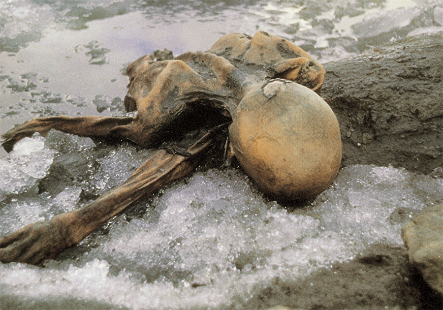 Kitap bitmeden öldü
Son olarak 2005 yılında Ötzi hakkında bir kitap yazan Avustralyalı Dr. Tom Loy, eserini bitiremeden yaşamını yitirmiştir.