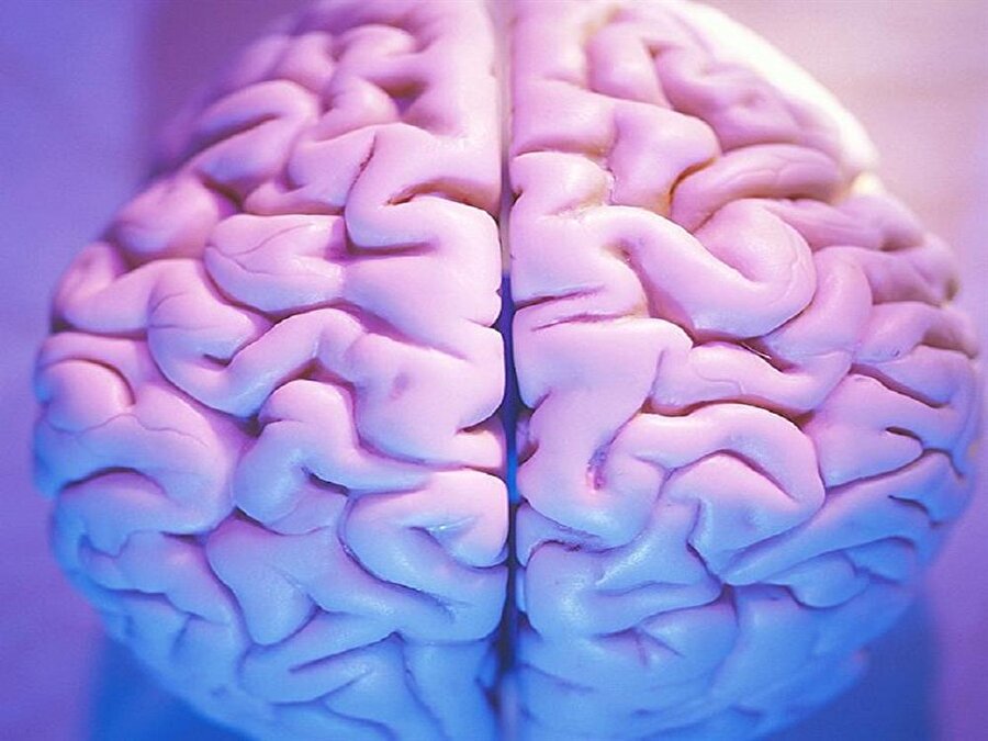 Genel kültürünüzü arttıracak 12 enteresan bilgi: Şaşırtıcı gerçekler