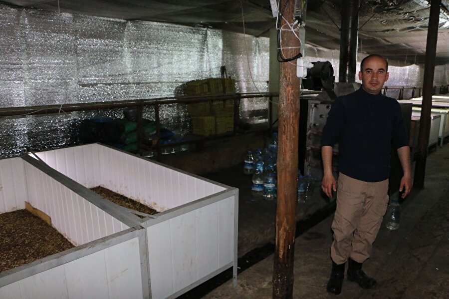 Sağlık memuru Hollanda'dan gelen patatesleri inceleyince köşeyi döndü