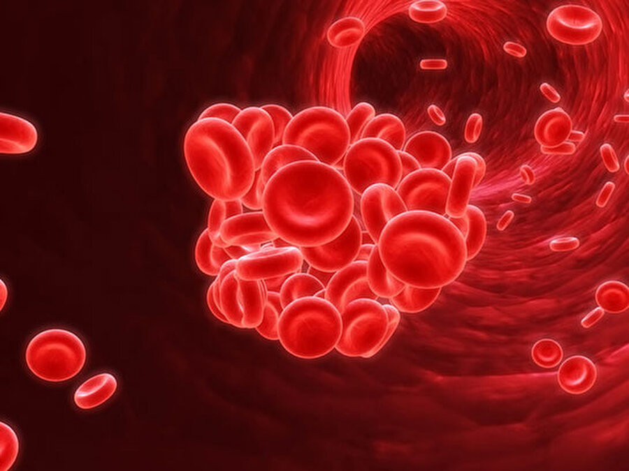  'Sonsuz bölünme özelliği' ile üretim sağlandı
Bu kuruluşların yaptıkları çalışma sonucunda bilim insanları, kanın içinde bulunan kırmızı kan hücreleri olarak adlandırılan eritrositlerin bölünüp çoğalmasını sağladı. Araştırmacılar, sonsuz bölünebilme özelliğine sahip erisrositlerin çoğalmasını sağlayarak kan hücrelerinin üretiminin başarılı sonuçlar verdiğini gözlemledi.