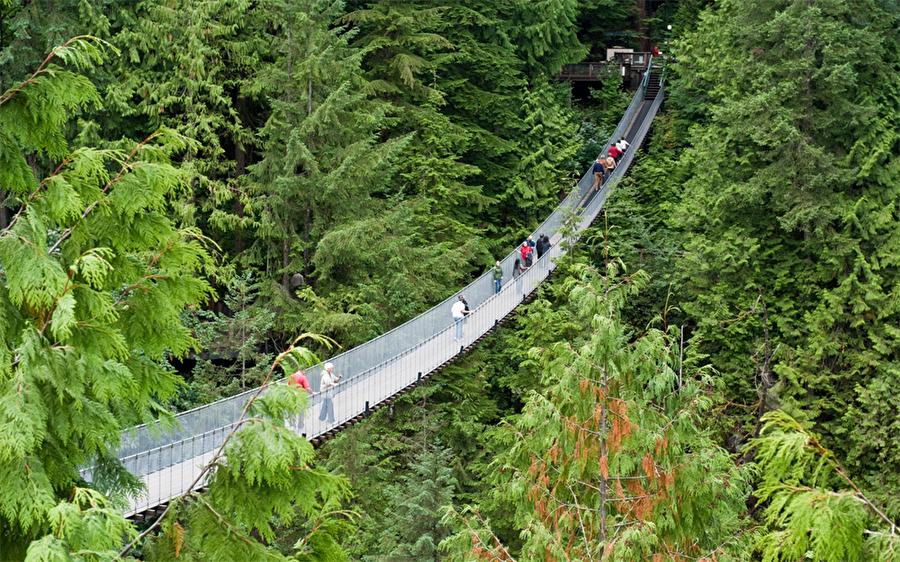 Capilano Süspansiyon Köprüsü, Kanada

                                    
                                    
                                
                                