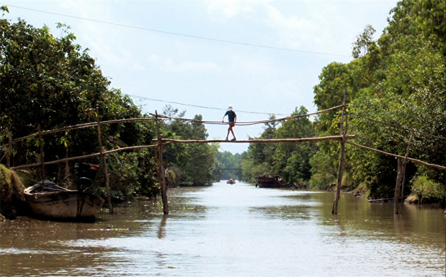 Maymun Köprüleri, Vietnam

                                    
                                    
                                
                                