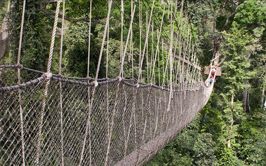 Canopy Walk, Gana

                                    
                                    
                                
                                