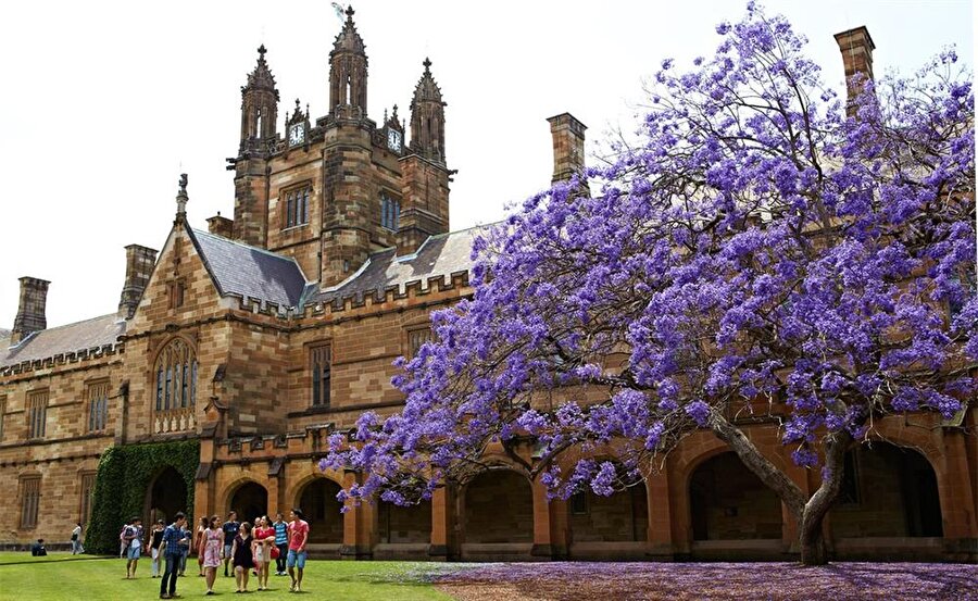 Sydney Üniversitesi, Avustralya
