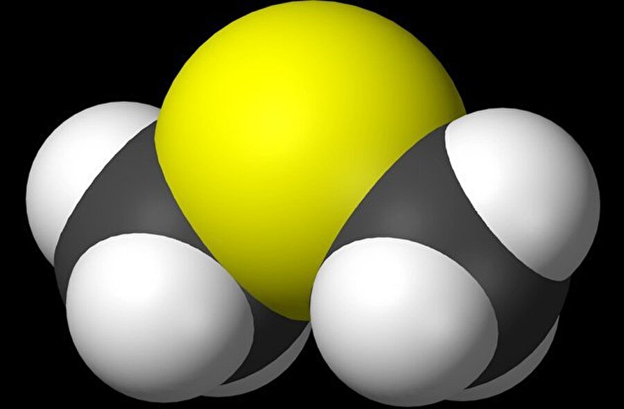 Sülfür

                                    Dimetil sülfür parfümünde kullanılan en güçlü kimyasallardan biridir. Bu koku; soğan, kuşkonmaz ve kurutulmuş meyvelerde de bulunur. 
                                
