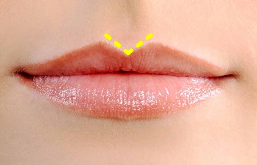 Keskin hatlı dudak

                                    
                                    
                                    
                                    
                                    Keskin hatlı bu dudak tipine sahip olanlar yüzde 100 sanatçı olma eğilimi gösterir.
                                
                                
                                
                                
                                