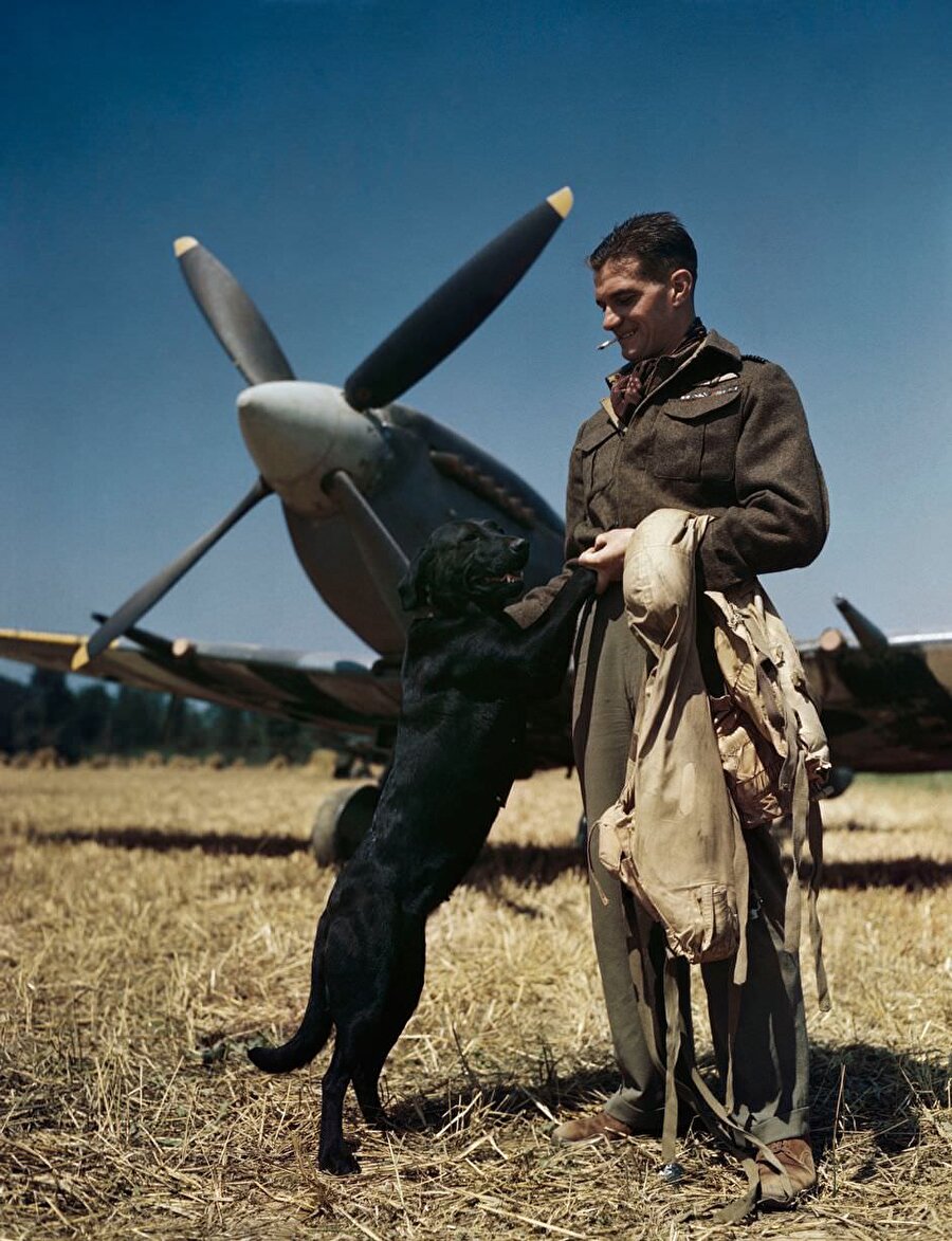 RAF'ın en iyi skorlayan savaş pilotu Wing Commander James 'Johnnie' Johnson, Spitfire ve evcil hayvan Labrador 'Sally' ile Bazenville iniş yerinde / Temmuz 1944

                                    
                                    
                                    
                                    
                                
                                
                                
                                
